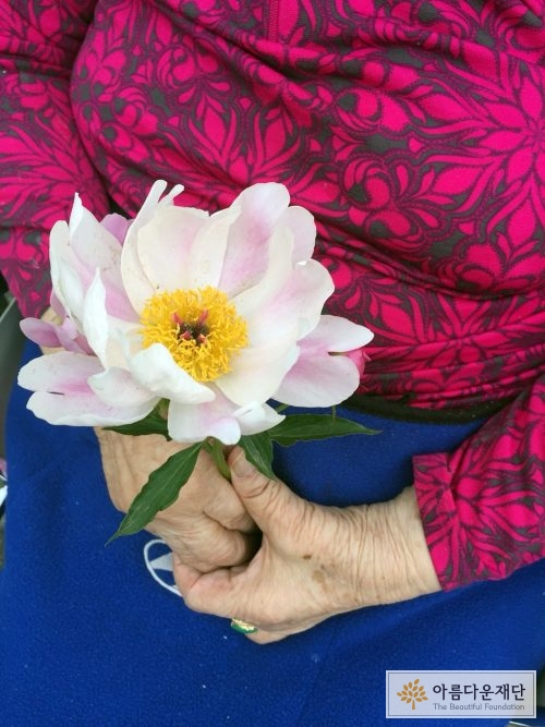 꽃을 소중히 든 김군자할머니의 손