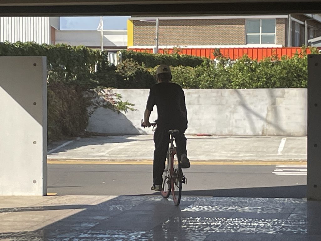 한 남성의 자전거 타는 뒷 모습 